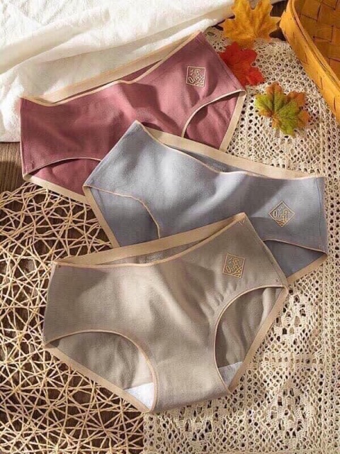 Lquần lót nữ cotton đúc | BigBuy360 - bigbuy360.vn