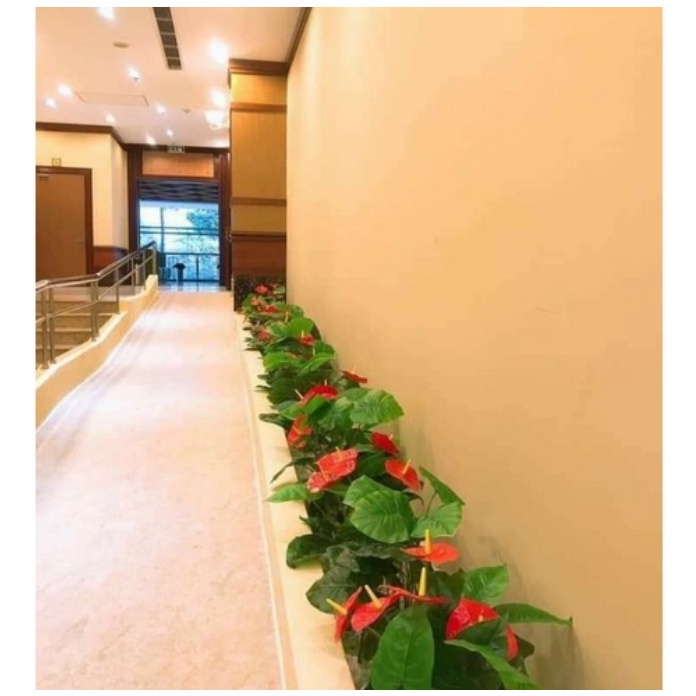 Cây Hồng Môn Yến nhựa Pvc - Cây Lan Ý