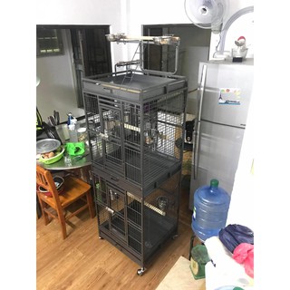 Lồng vẹt 2 tầng mẫu mới