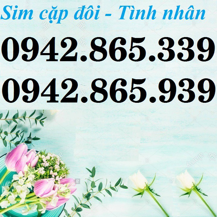 COMBO 2 SIM CẶP ĐÔI VINAPHONE SỐ ĐẸP PHONG THỦY, SIM THẦN TÀI