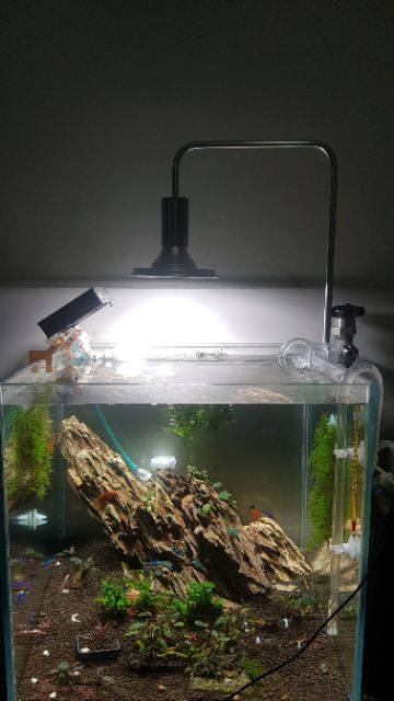 ĐÈN LED XIMA WRGB 20w / 40w - Đèn trồng cây thuỷ sinh - Bán cạn - Trong nhà