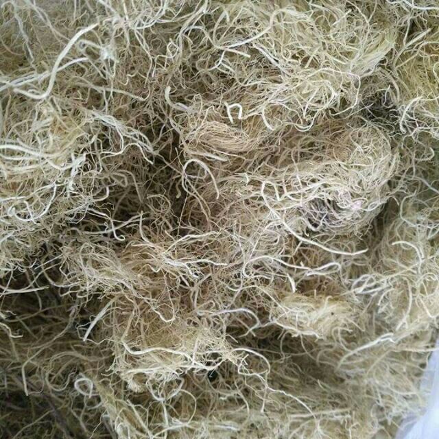 Rong biển rau câu 1kg