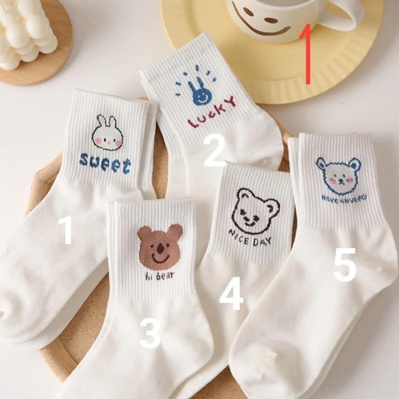 set tất 5 đôi