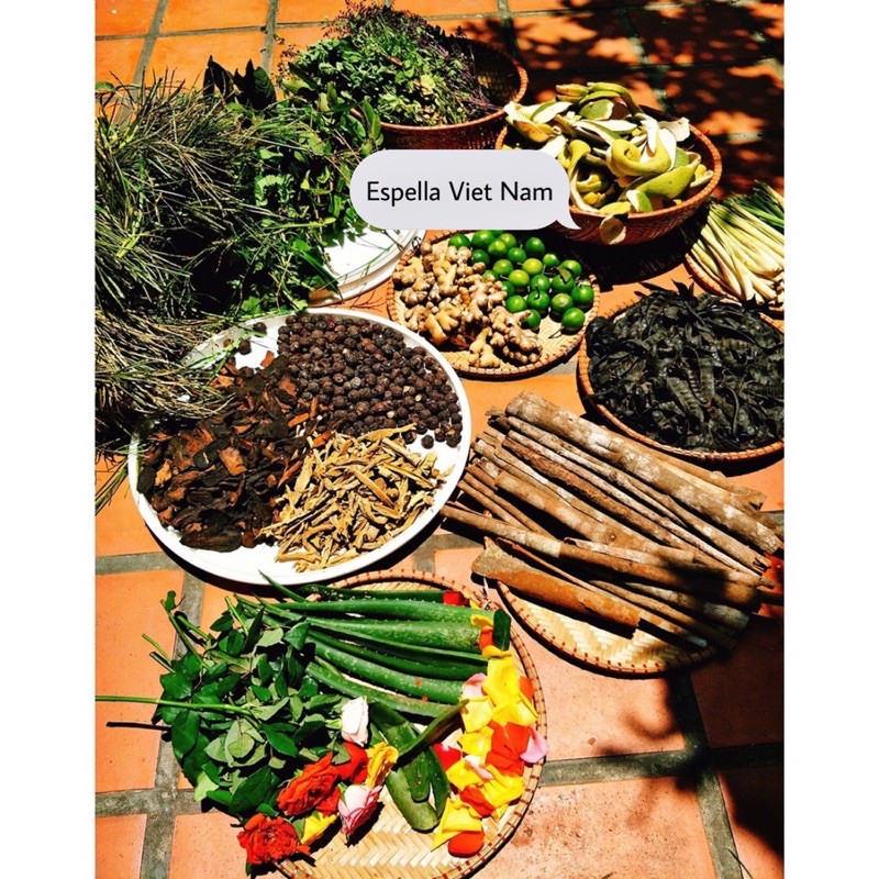 DẦU GỘI BỒ KẾT CÔ ĐẶC - GỪNG TƯƠI HỖ TRỢ GIẢM BẾT DẦU, RỤNG TÓC, KÍCH MỌC TÓC (HANDMADE)