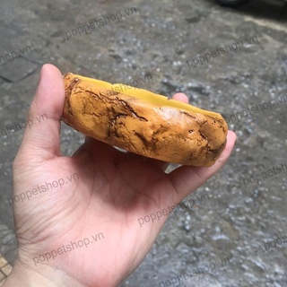 Máng ăn - Máng nước dành cho bò sát (ms22s)
