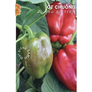 Hạt giống ớt chuông/ớt ngọt gói 2gr