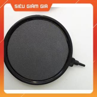 Đĩa sủi Oxi Siêu mịn