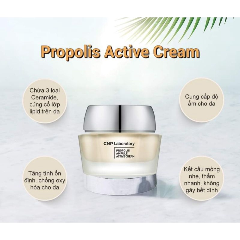 Kem Dưỡng Keo Ong Tái Tạo Phục Hồi Da CNP Laboratory Propolis Active Cream