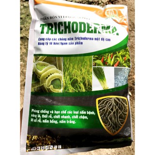 CHẾ PHẨM MEN VI SINH NẤM TRICHODERMA LOẠI 1KG