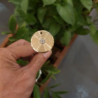 CỌC CẤM MỒI GÀ RỪNG ( MẨU THÁI )
