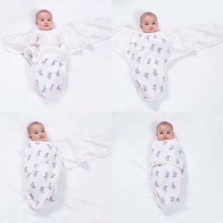 Ủ kén Lion Bear hàng loại đẹp