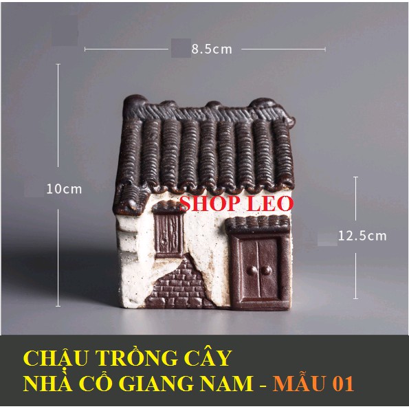 CHẬU TRỒNG CÂY NHÀ CỔ GIANG NAM - SET HỒ THỦY SINH - BÁN CẠN - TIỂU CẢNH