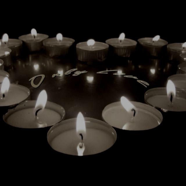 Nến Tealight Hoa mai - Dana Candle - Hộp 100 viên