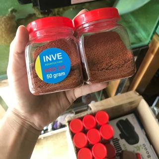 CÁM INVE NRD 3/5 THÁI LAN