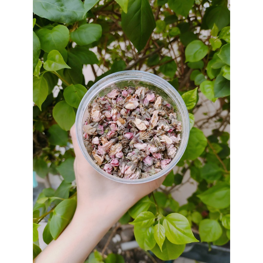 ( ảnh thật + video ) hoa anh đào khô 500gram / 1 kí