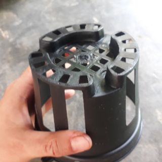 50 chậu trồng lan thế hệ mới