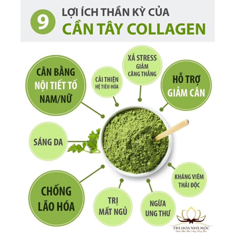 Bột cần tây sấy lạnh nguyên chất 🍁 Hộp 500g 🍁 Sản xuất bởi quy trình tiệt trùng khép kín