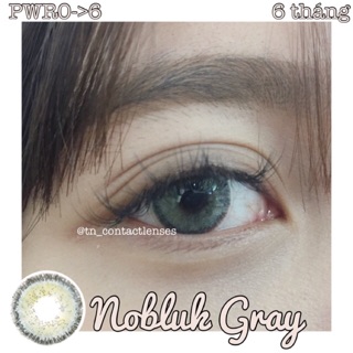 Kính áp tròng Nobluk Gray 14,0