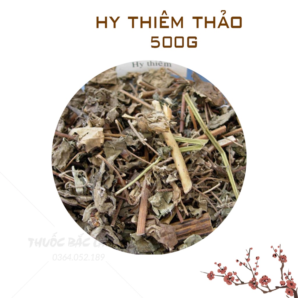 Hy thiêm thảo khô 500g (Hàng khô, sạch, đẹp)
