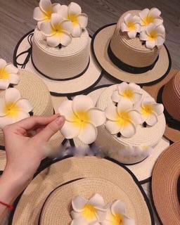Hoa Đại cài tóc Siêu Xinh