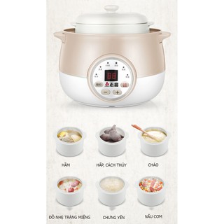 Nồi điện nấu cháo hầm canh chưng yến 1l Chigo