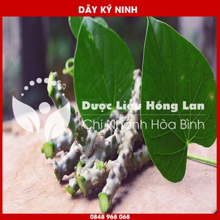 Dây Ký Ninh khô sạch loại 1 - Hàng Chính Hãng