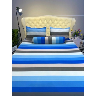 Bộ drap thun hàn quốc 1m6 x 2m | ga nệm | áo nệm