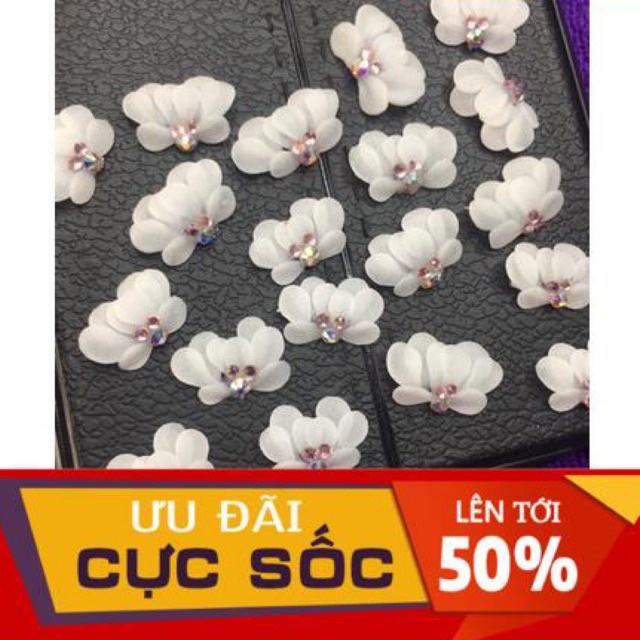 hoa cúc tròn- hoa bột nail