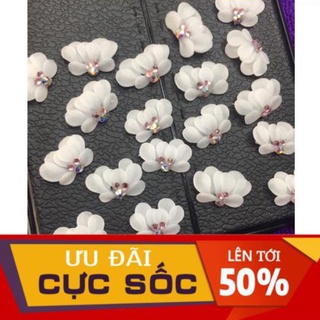 Hoa cúc tròn- hoa bột nail