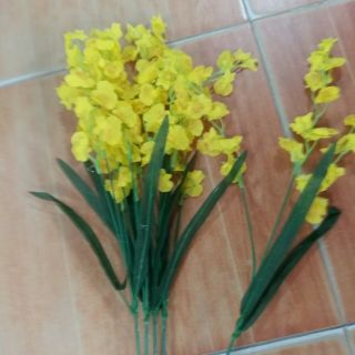 1 cành hoa lan vũ nữ giá tốt