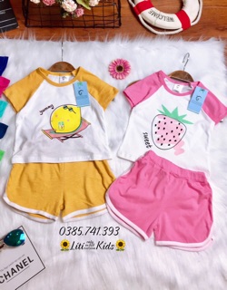 Bộ bèo hoa quả ( Hàng sẵn - Ảnh thật) 💐💐💐