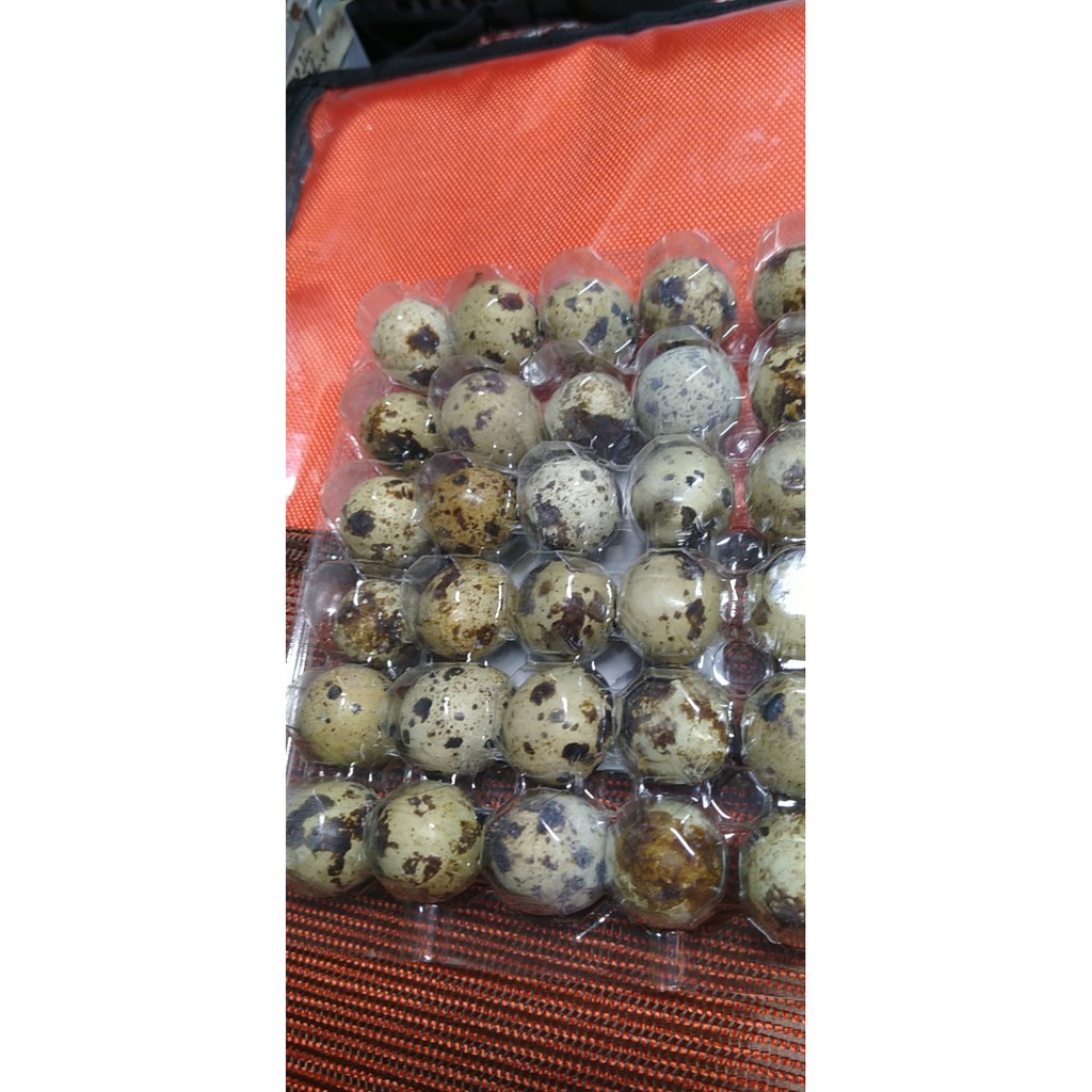Trứng cút ngon mà rẻ