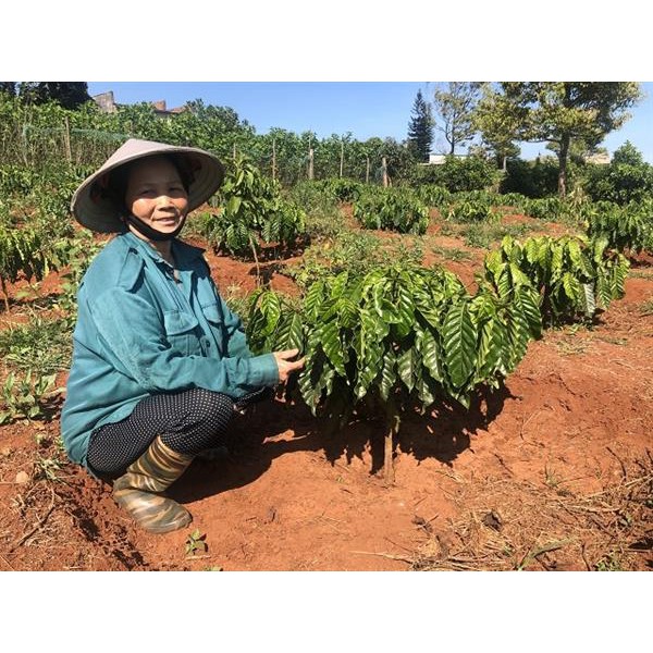 Cà phê Robusta Di Linh - Moka Cafe 150g | BigBuy360 - bigbuy360.vn