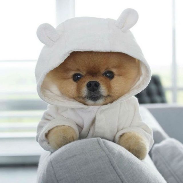 huongbaby2812, Cửa hàng trực tuyến | BigBuy360 - bigbuy360.vn