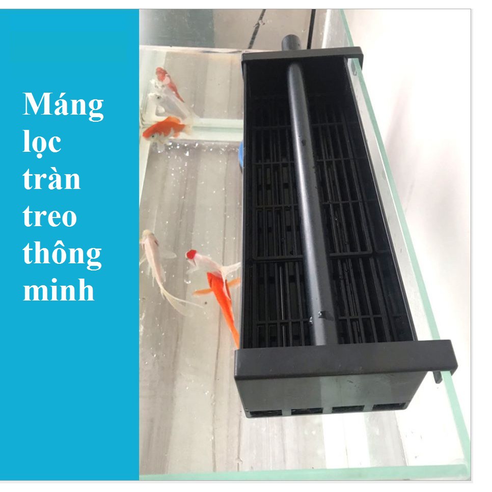 Máng lọc tràn trên thông minh treo kính bể (tặng bông lọc)