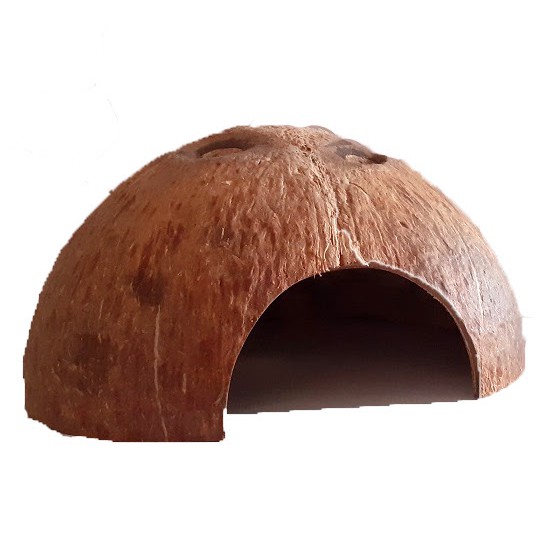 Nhà/hang cá gáo dừa | Cocodecor