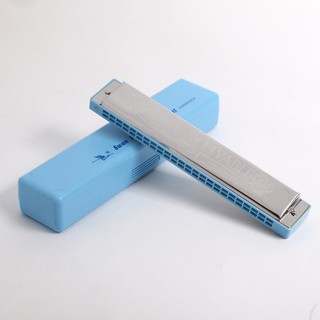 (HOT) KÈN HARMONICA 24 LỖ