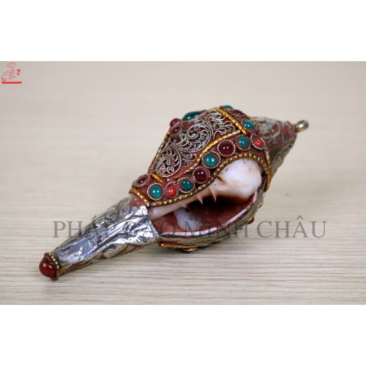 [PHÁP BẢO MINH CHÂU] ỐC BIỂN NEPAL BỌC ĐỒNG NHỎ - VÀNG | PHÁP LOA