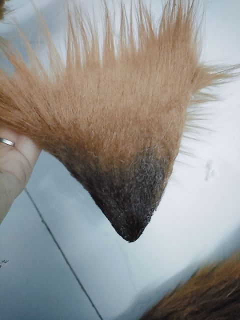 Tai mèo nâu loang màu chỏm đen cosplay | BigBuy360 - bigbuy360.vn