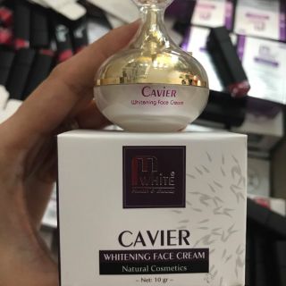 Face thạch cavie mini