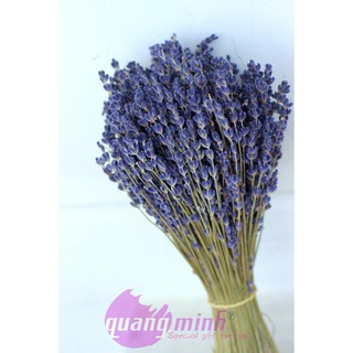 Bó hoa lavender khô thuần túy