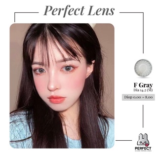 Lens Ảnh Mắt Thật, F Gray Perfect Lens, dia 14.2