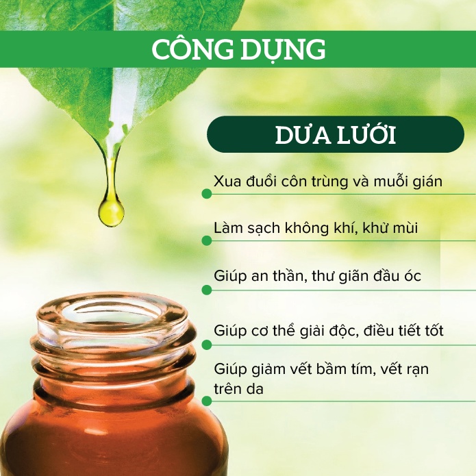 Tinh dầu hữu cơ Organic Dưa Lưới ÔNG TÂY mẫu thử 100ml.