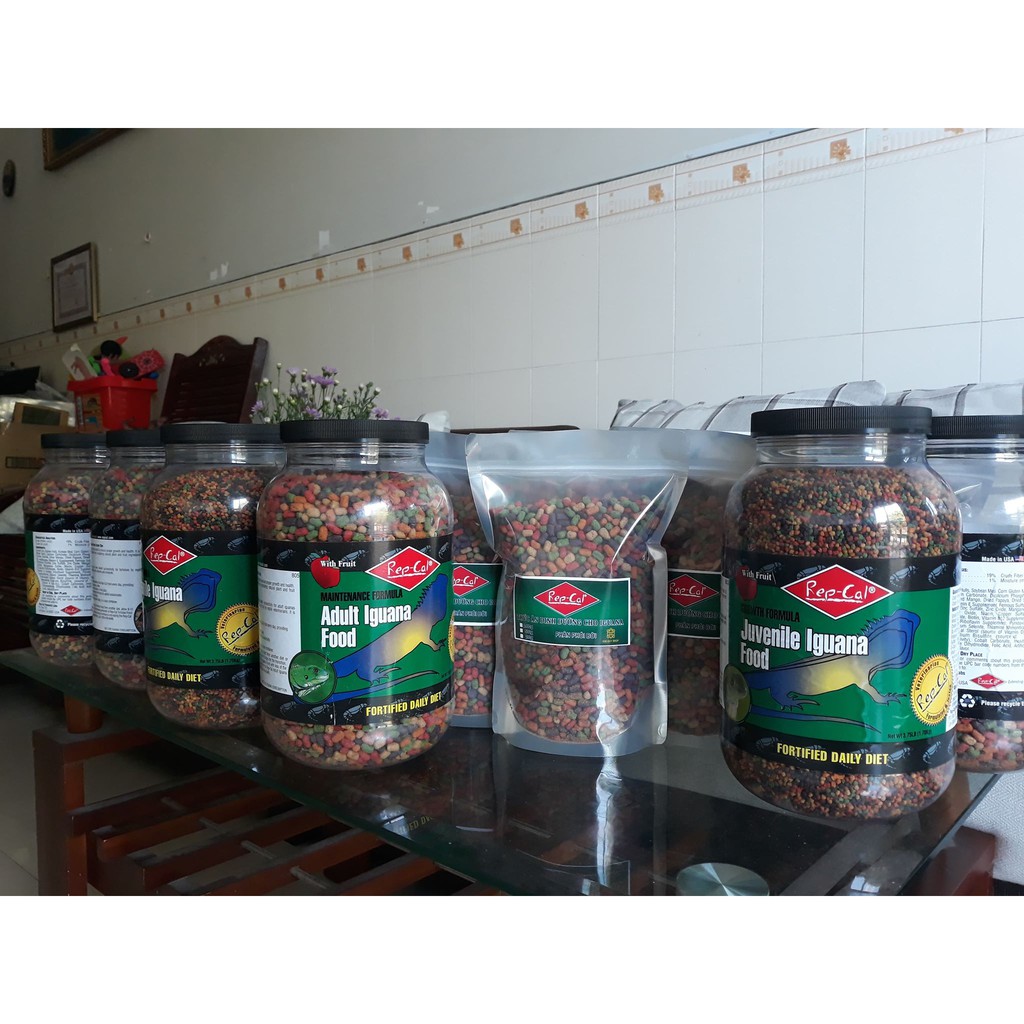 Repcal - Thức ăn iguana viên nhỏ nguyên hủ lớn