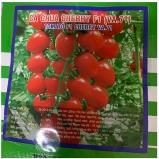 Hạt giống - Cây giống Cà chua bi cherry đỏ (chỉ gửi gần Hà Nội)