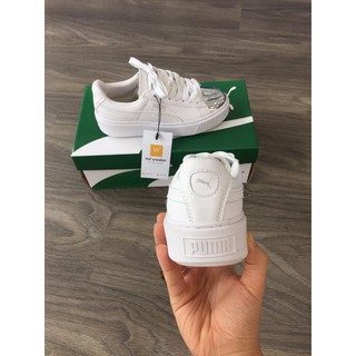 PUMA MŨI BẠC