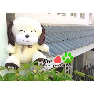 Gấu chó bông hoa mai hàng thái xịn