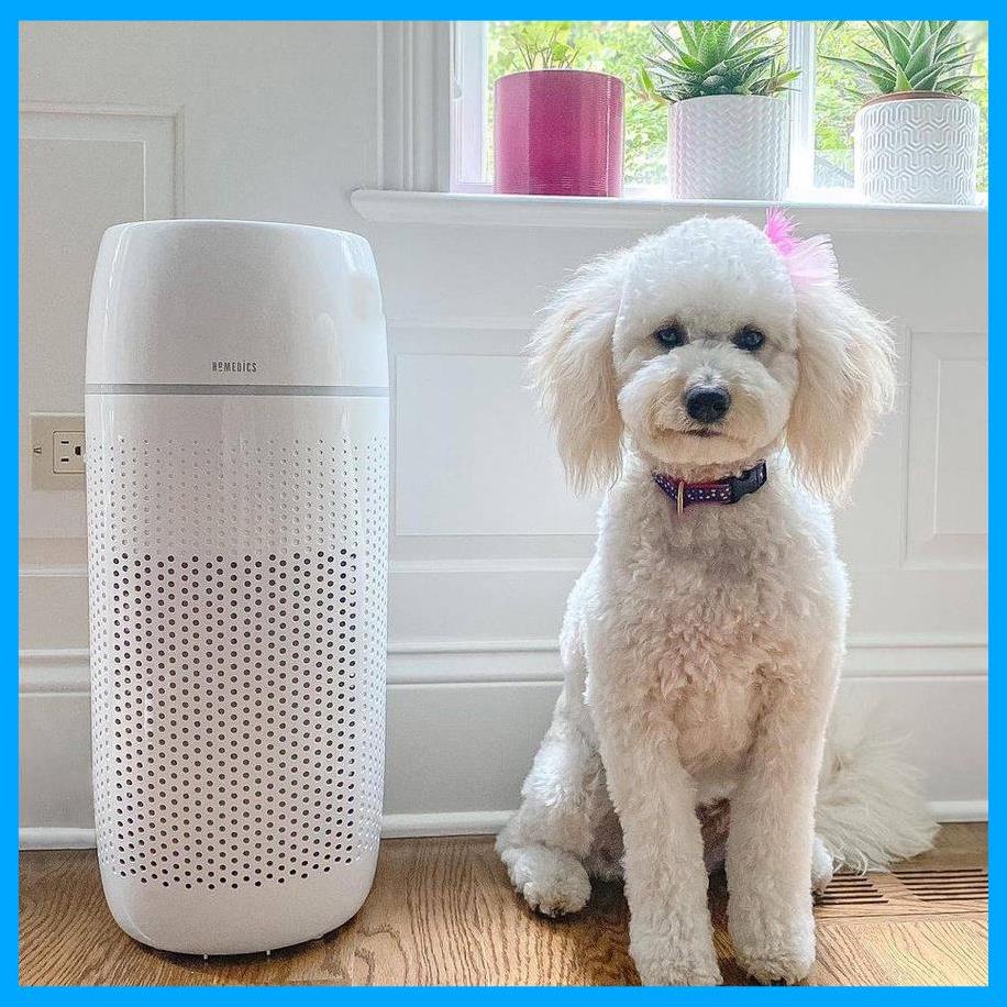 Máy lọc không khí khử mùi lông vật nuôi Homedics AP-PET35, Diệt toàn bộ Virut vi khuẩn bao gồm cả Covid-19 HT