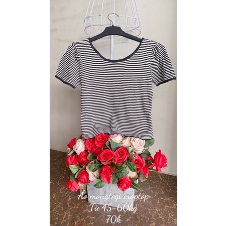 Áo mongtegi dáng croptop