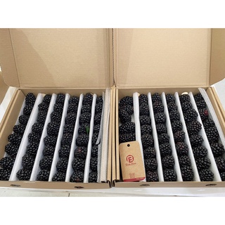 Mâm Xôi Đen, Phúc Bồn Tử Đen Hộp 500gr